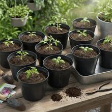 100Pcs Seedling Pots With Hole Or Without Hole For Lotus Planting Durable PP Plastic - Seedling Tray - View 2