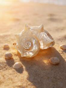 1pc Natural Seashell Pendant, Suitable For DIY Jewelry Making And Decoration, Can Be Used For Necklace, Earrings, Keychain - Conch - View 6
