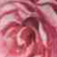 淺粉色