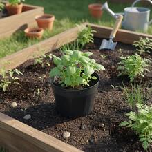 100Pcs Seedling Pots With Hole Or Without Hole For Lotus Planting Durable PP Plastic - Seedling Tray - View 4