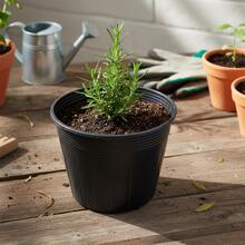 100Pcs Seedling Pots With Hole Or Without Hole For Lotus Planting Durable PP Plastic - Seedling Tray - View 3