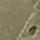 Verde Oliva