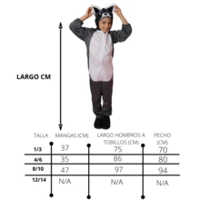 LA CASA ENCANTADA Disfraz Primavera Mapache Unisex Niño - Gris Claro - Ver 2