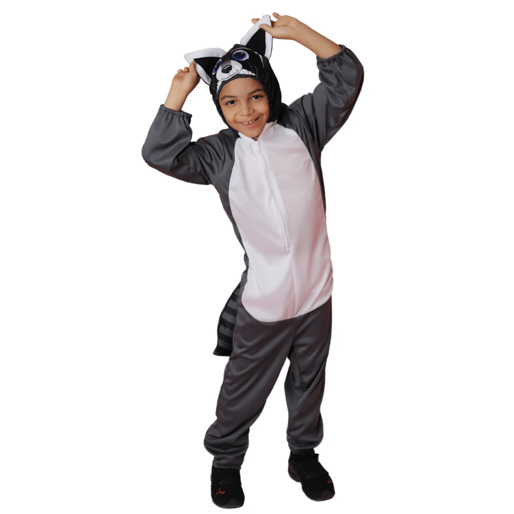 LA CASA ENCANTADA Disfraz Primavera Mapache Unisex Niño - Gris Claro - Ver 1
