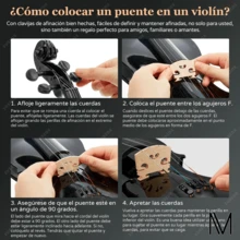 Stringed Musical Instruments - Black - View 2