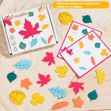 27pcs Realistic Leaf Matching Cognitive Learning Toys, Educational Puzzle Game For Kids - Leaf Toys - View 2