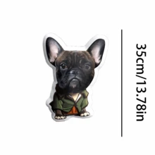 Take The Furry Child Home, Customize A Cute Pet Pillow, And Let Your Yearning Be Touched Anytime. - Style 1 - View 10