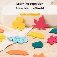 27pcs Realistic Leaf Matching Cognitive Learning Toys, Educational Puzzle Game For Kids - Leaf Toys - View 5