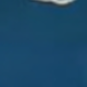 油