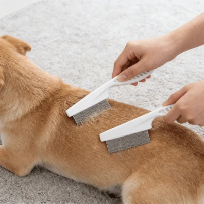 Lược chải bọ chét cho chó và mèo - Bàn chải răng nhỏ bằng thép không gỉ, giúp gỡ rối lông và loại bỏ bọ chét/ve/trứng bọ chét cho chó con/mèo con.