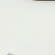 彩色