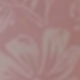 Ribbon Toile