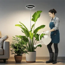 Adjustable Height Indoor Plant Growth Light With Auto Timer, USB Powered, Full Spectrum, 5V Low Voltage, Home Use - Black and White - View 10
