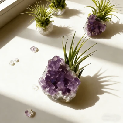空气凤梨水晶盆栽，紫色水晶簇与白色水晶石组合，只需喷水，易于养护，净化空气，趣味桌面摆件，节日礼物，新年、情人节、各种节日礼品