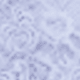 tử đinh hương