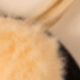 彩色