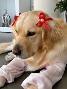 6 件装可爱宠物蝴蝶结发夹，珍珠蝴蝶结狗猫生日派对发饰 - 黃色 - 查看 10