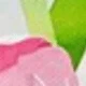 Pink Flowers