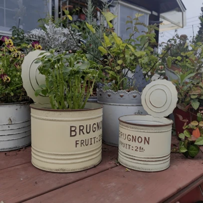 这些圆形金属花盆造型别致，既可用于园艺，也可用于家居装饰。复古风格的花盆配有盖子，完美融合了质朴的魅力和实用的设计，为任何室内或室外空间增添了永恒的法式乡村美感。符合人体工学的盖子方便您取用植物或存放物品，而宽敞的内部空间则为植物根系生长提供了充足的空间，确保植物健康茁壮地生长。