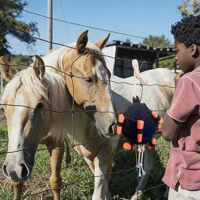 可调节零食投放球，马厩和牧场的完美伴侣，有助于缓解马匹的无聊情绪