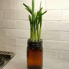 1 khuôn trồng cây thủy canh in 3D, hộp trồng cây bằng nhựa có thể tháo rời và tái sử dụng, dễ dàng thay nước, không cần nguồn điện, chất liệu nhựa, dễ sử dụng, dùng được cả trong nhà và ngoài trời, thiết kế dễ vệ sinh, thích hợp cho gia đình, làm vườn, văn phòng hoặc sân vườn. - A - Xem 5