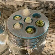 1 khuôn trồng cây thủy canh in 3D, hộp trồng cây bằng nhựa có thể tháo rời và tái sử dụng, dễ dàng thay nước, không cần nguồn điện, chất liệu nhựa, dễ sử dụng, dùng được cả trong nhà và ngoài trời, thiết kế dễ vệ sinh, thích hợp cho gia đình, làm vườn, văn phòng hoặc sân vườn. - A - Xem 1