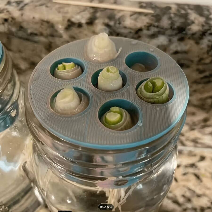 1 khuôn trồng cây thủy canh in 3D, hộp trồng cây bằng nhựa có thể tháo rời và tái sử dụng, dễ dàng thay nước, không cần nguồn điện, chất liệu nhựa, dễ sử dụng, dùng được cả trong nhà và ngoài trời, thiết kế dễ vệ sinh, thích hợp cho gia đình, làm vườn, văn phòng hoặc sân vườn. - A - Xem 1