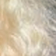 S613