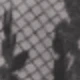 Nhiều màu