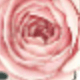 Type B