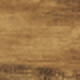 Nâu mộc mạc