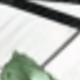黑與白