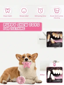 宠物玩具套装，小型犬猫毛绒发声玩具 - 棒棒糖、星星、甜甜圈、草莓形状，互动咀嚼玩具和拥抱伙伴 - 彩色 - 查看 4