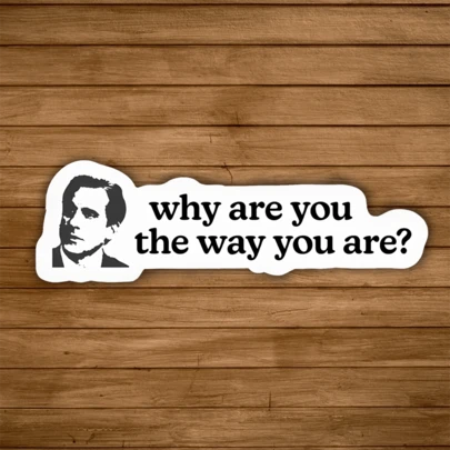 2PCS Why Are You The Way You Are? Sticker, Funny Office Quotes, The Office Sticker , Michael Scott Quote, TV Show Meme Laptop Decal