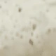 متعدد الألوان
