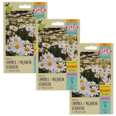 Kit Sementes ISLA Camomila - Maçanilha Verdadeira Minha Horta Linha Multi Plantio