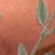 شفاف