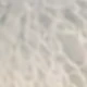 trắng