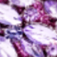Mauve Purple