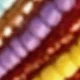 Multicolor