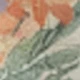 彩色