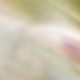 彩色