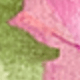 verde rosa