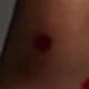 Negru