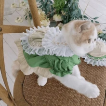 1pc Pet Lace Floral Dress (Excluding Hat), Cute Spring/Summer Dress For Dogs & Cats - Green - View 4