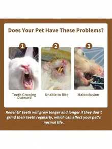 9pcs Mini Pet Toys, Suitable For Rabbits, Chinchillas, Hamsters, Squirrels, Chewing Supplies, Aquatic Grass & Sweet Bamboo - View 4