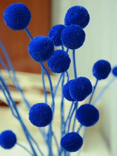 10支/20支天然干花金槌花（Craspedia billy balls），又名比利球花（Billy Buttons），花束，适用于插花、婚礼、家居装饰，可插于高花瓶中，黄色。