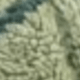 Patrón 4 – Verde