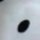 黑與白
