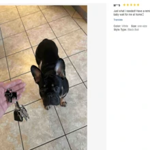 1pc Metal Cartoon French Bulldog Dog Keychain Cute Doll Key Chain For Woman Bag Pendant Car Key Ring Gift - Multicolor - View 5